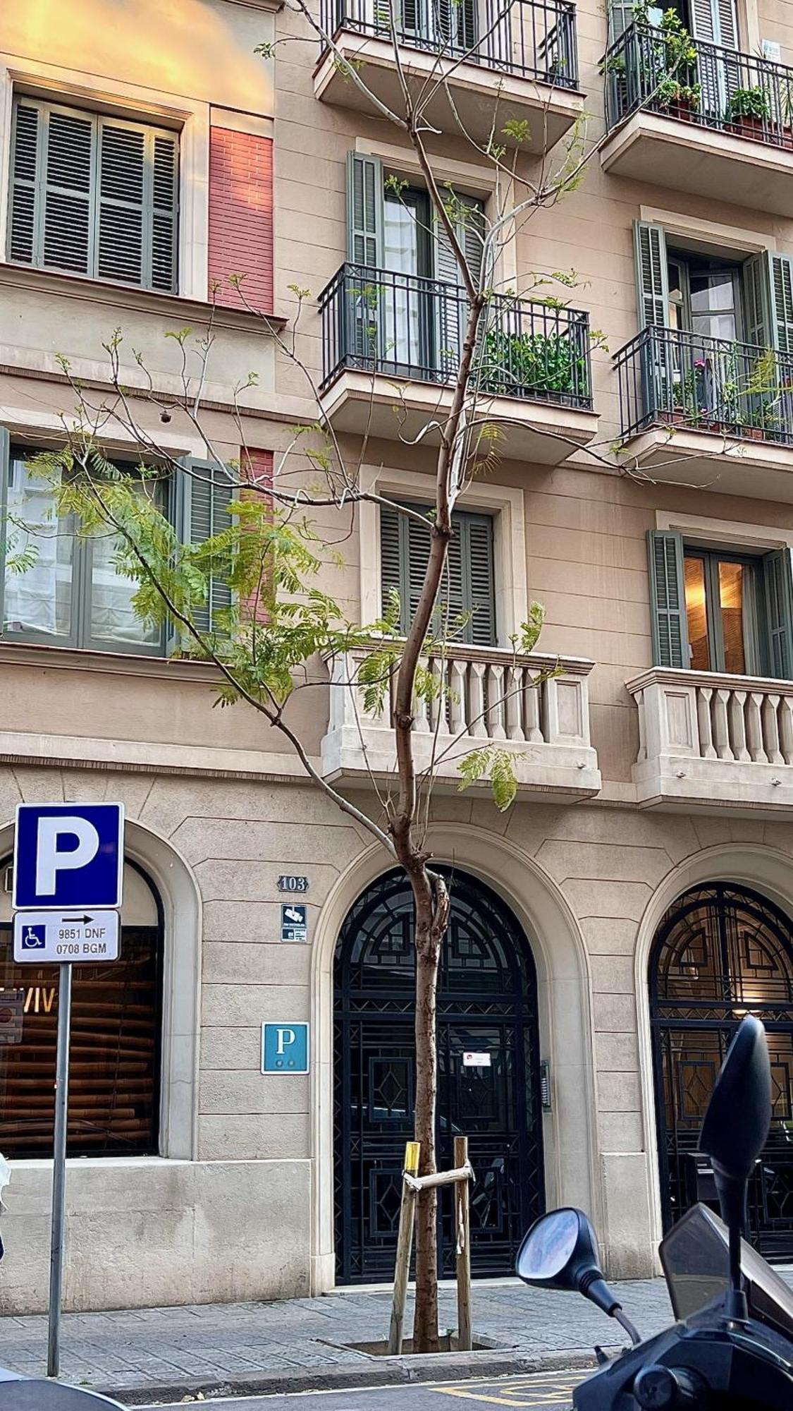 Hostal Madrazo Barcelona Exteriör bild